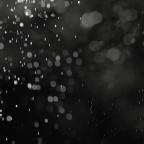 Mestres das artes marciais.